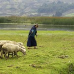 ECUADOR. Provincia de Chimborazo. Laguna de Colta