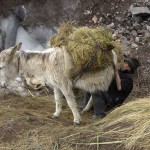 BALTASAR USHCA. El hielero del Chimborazo