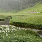 ISLANDIA. Paisaje junto a la cascada Skógafoss
