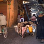MARRAKECH. Llevando pieles a curtir