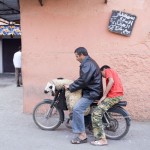 MARRAKECH. El último viaje del cordero