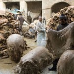 FEZ. Preparando las pieles para llevar a la curtidurÍa