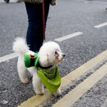 Fiestas de San Patricio en Dublin. Irlanda
