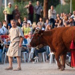 Tarraco Viva