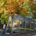 Fotos de Vitoria
