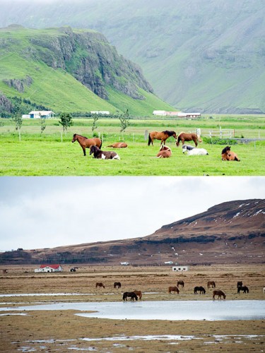 Islandia