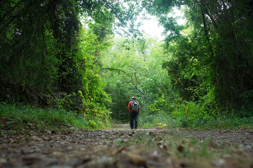 Camino Primitivo Asturias_04