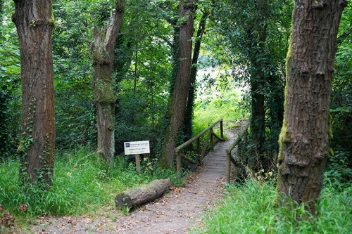 Camino Primitivo Asturias_08