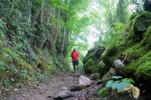 Camino Primitivo Asturias_13