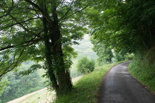 Camino Primitivo Asturias_14