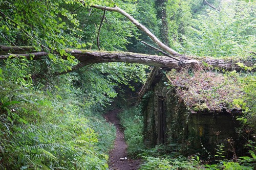 Camino Primitivo Asturias_15