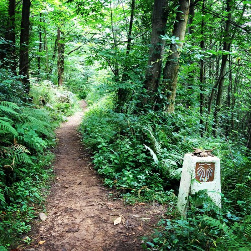 Camino Primitivo Asturias_20