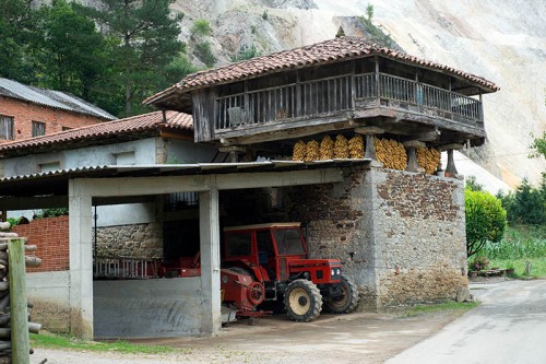 Camino Primitivo Asturias_22