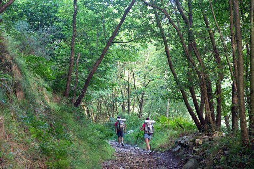 Camino Primitivo Asturias_25