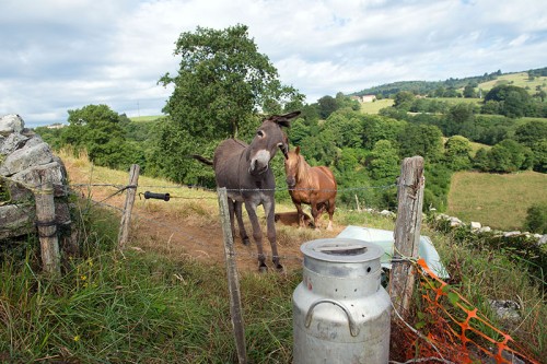 Camino Primitivo Asturias_27