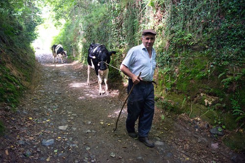 Camino Primitivo Asturias_28