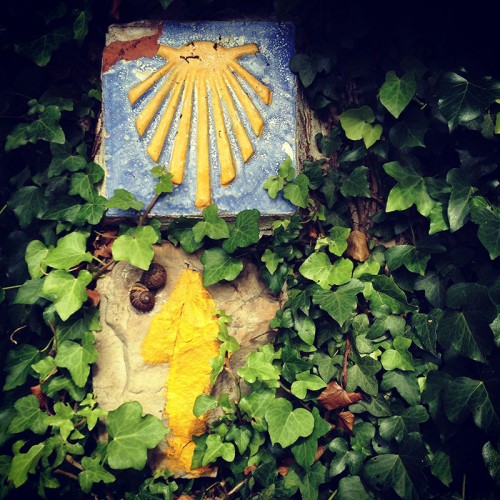 Camino Primitivo Asturias_33