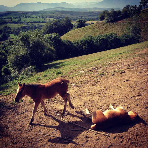 Camino Primitivo Asturias_34