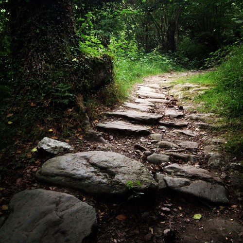 Camino Primitivo Asturias_37