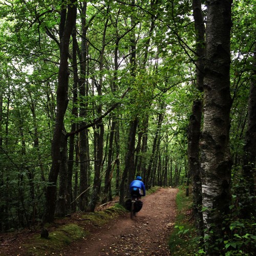 Camino Primitivo Asturias_40