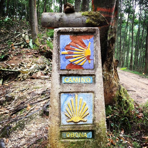 Camino Primitivo Asturias_42