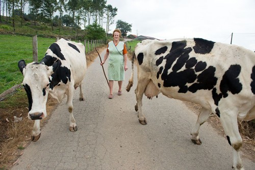 Camino Primitivo Asturias_44