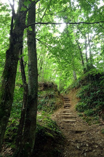 Camino Primitivo Asturias_46