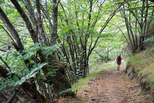Camino Primitivo Asturias_49