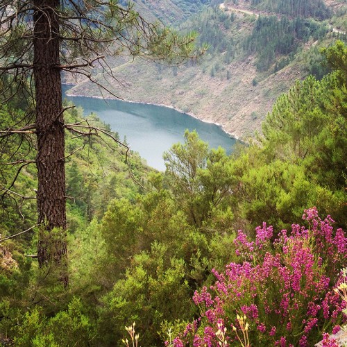 Camino Primitivo Asturias_53