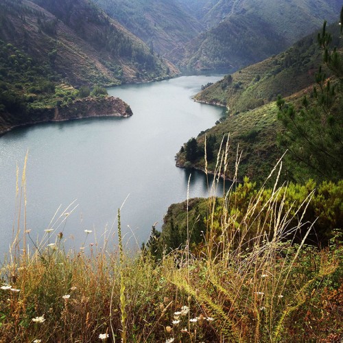 Camino Primitivo Asturias_54