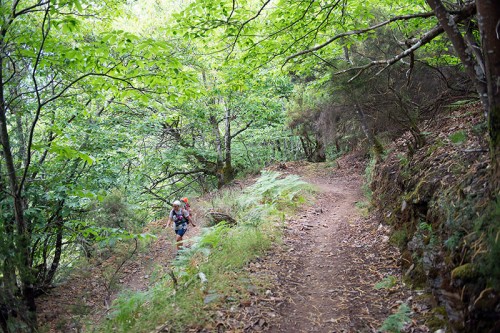 Camino Primitivo Asturias_55