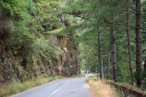 Camino Primitivo Asturias_57